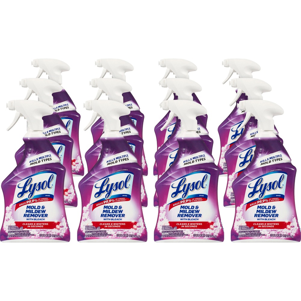 Lysol Mold/Mildew Remover 78915CT