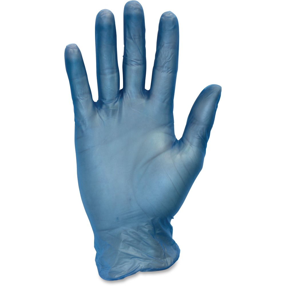 Safety Zone 3 mil General-purpose Vinyl Gloves GVP9LG1BL